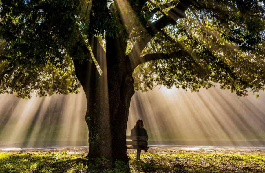 스크린샷 2026-04-21 153511.png