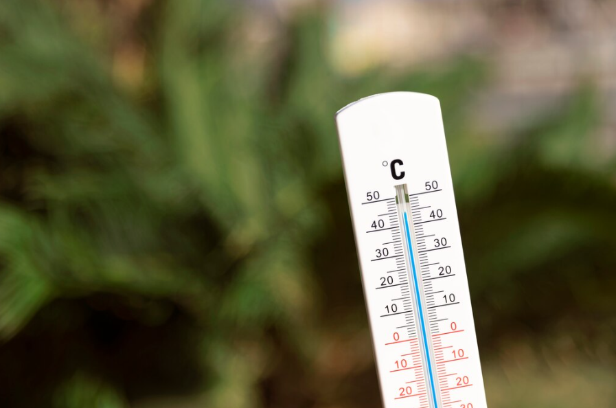 스크린샷 2026-03-06 082824.png