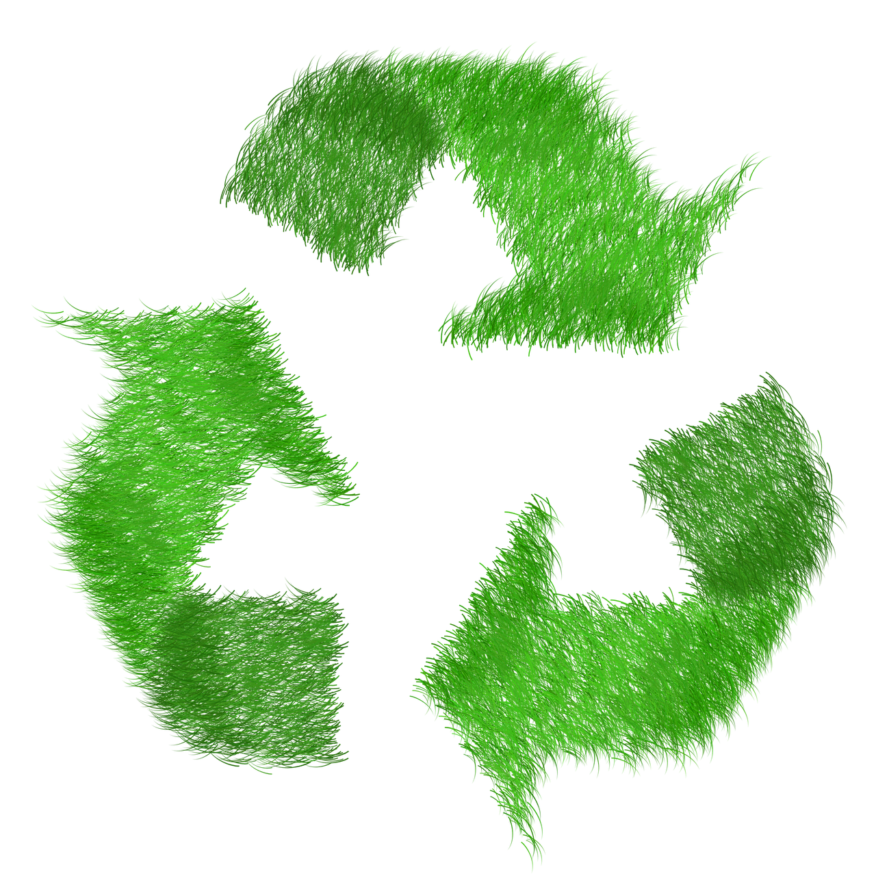 elisariva-green-1968596_1280.png
