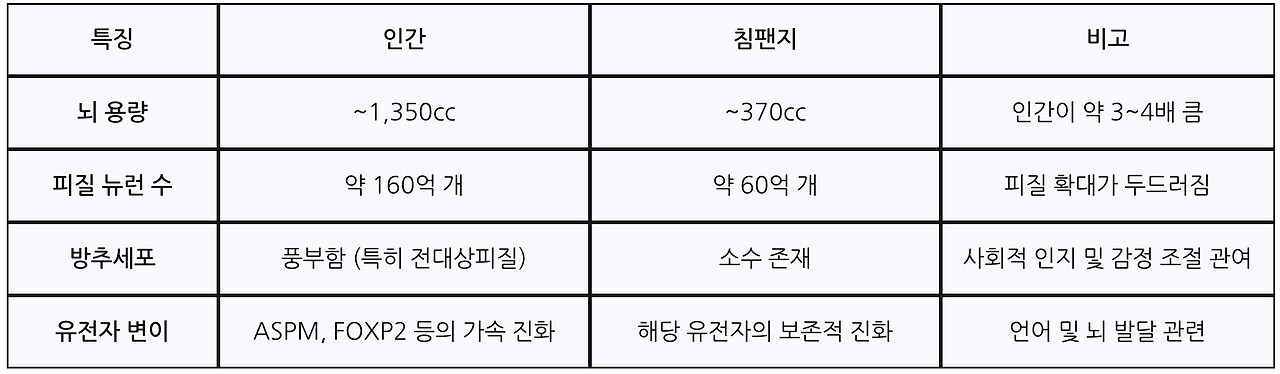 스크린샷 2026-01-22 오전 12.34.13.png