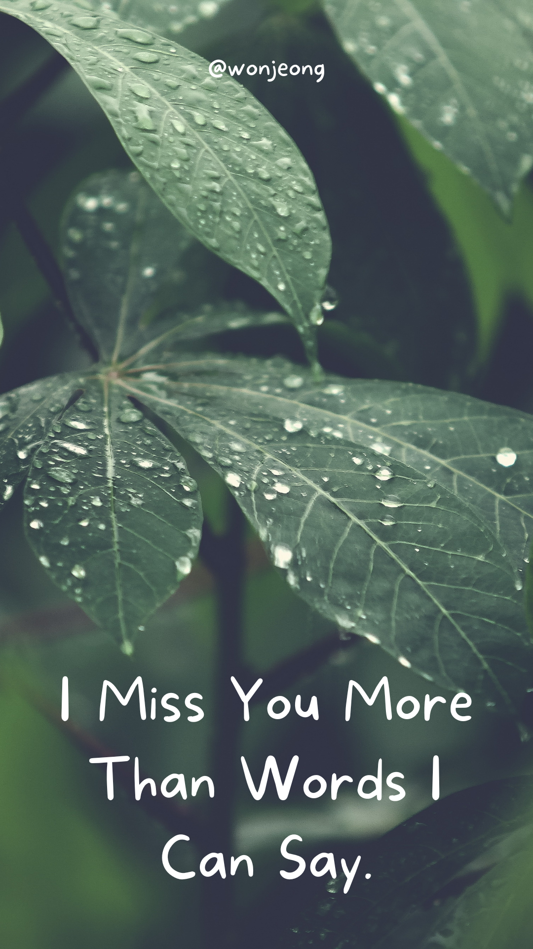 Green Minimalist Nature Photography I Miss You Quote Your Story.png
