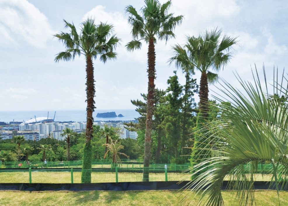 스크린샷 2026-03-23 오전 11.20.49.png