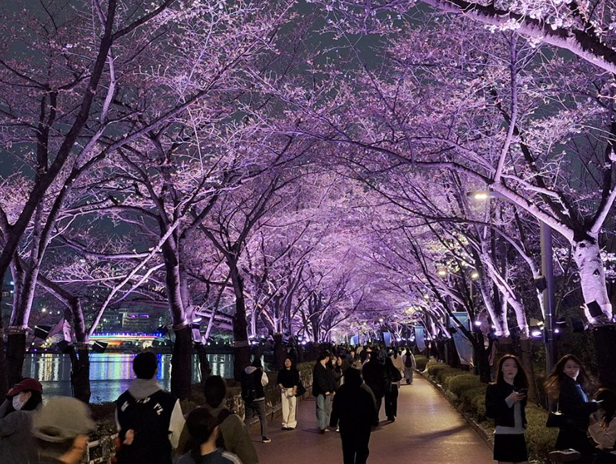 스크린샷 2026-04-03 오후 7.38.52.png