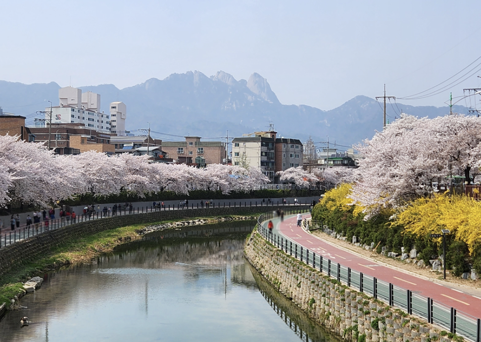 스크린샷 2026-03-13 오전 10.11.03.png