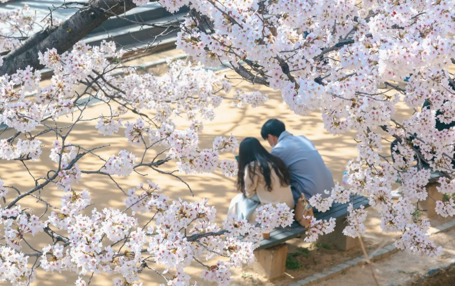 스크린샷 2026-03-01 오후 8.37.08.png