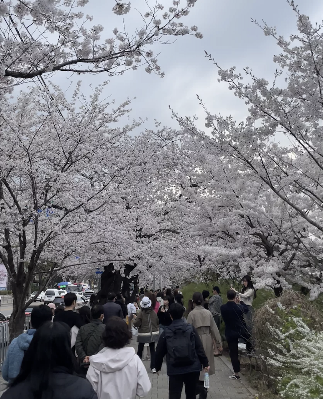 스크린샷 2026-04-05 오후 1.35.30.png