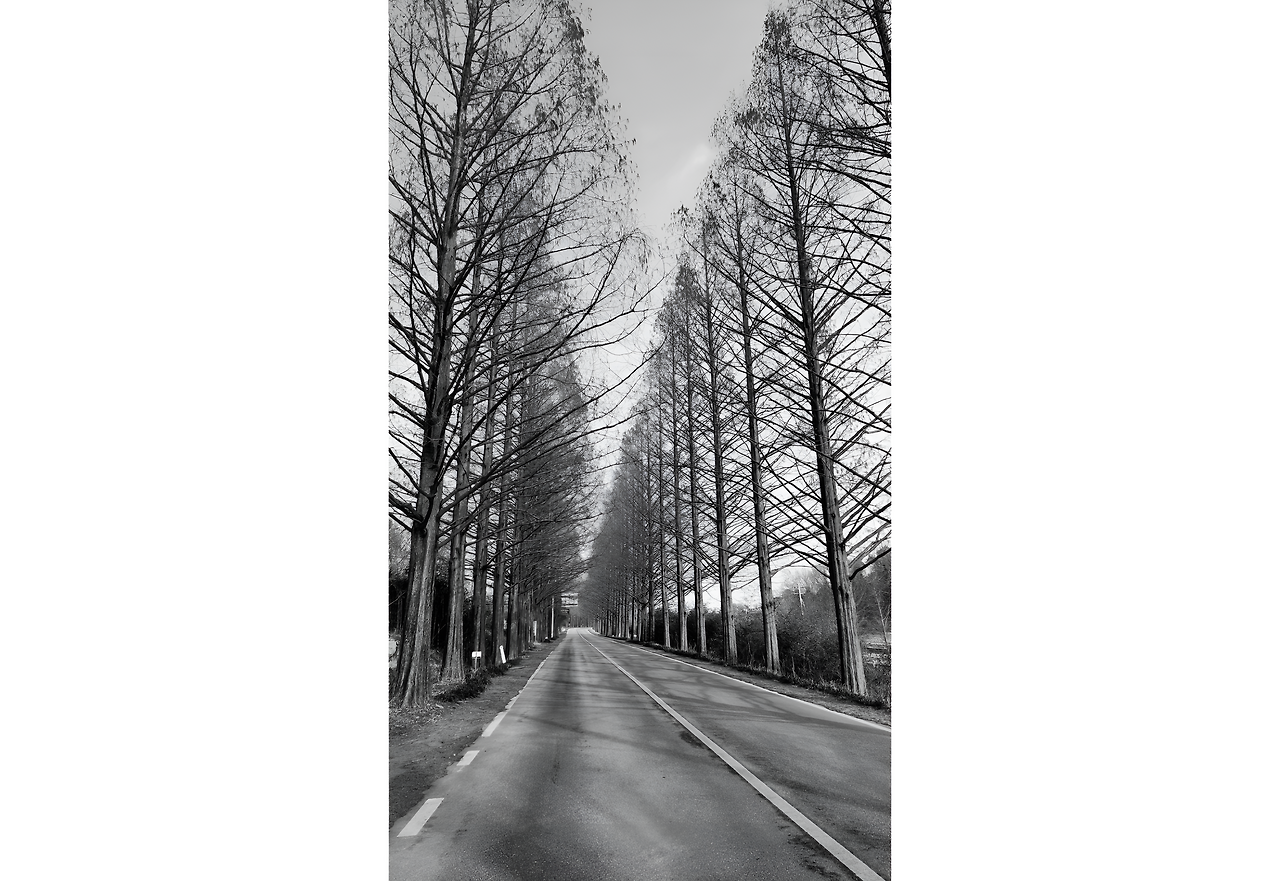 1000034702 (2) (1)_ALTools_AIUpscaler.png