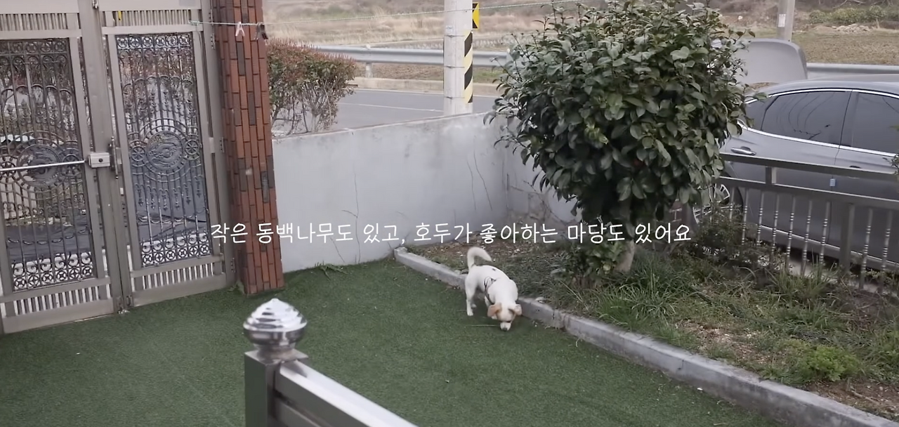 스크린샷 2026-03-19 오전 9.36.28.png