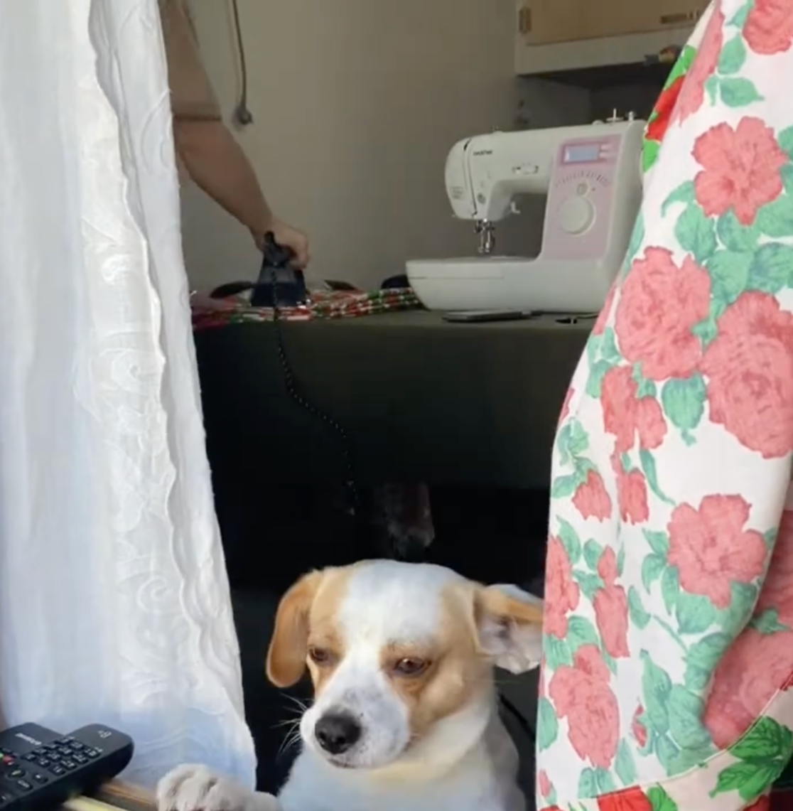 스크린샷 2026-03-12 오전 11.49.22.png