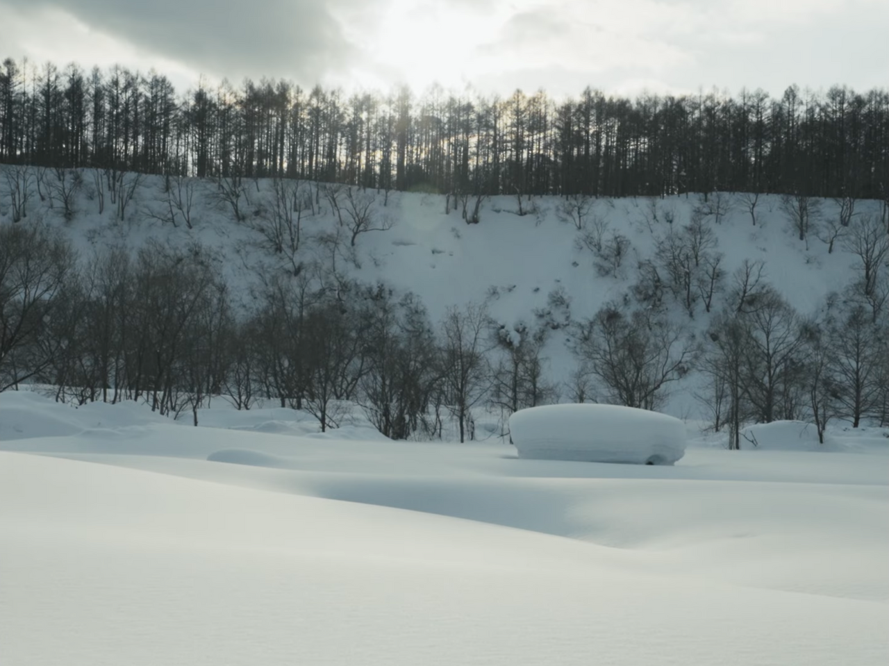 스크린샷 2026-01-29 오후 4.34.04.png