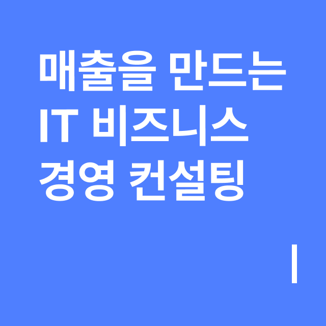 매출을 만드는 IT 비즈니스 경영 컨설팅.png