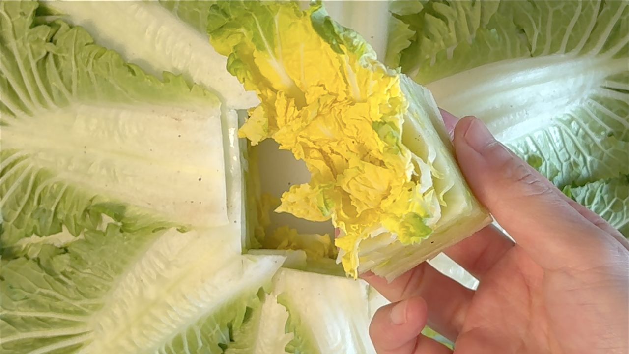 20260228 Bomdong Bibimbap3.png