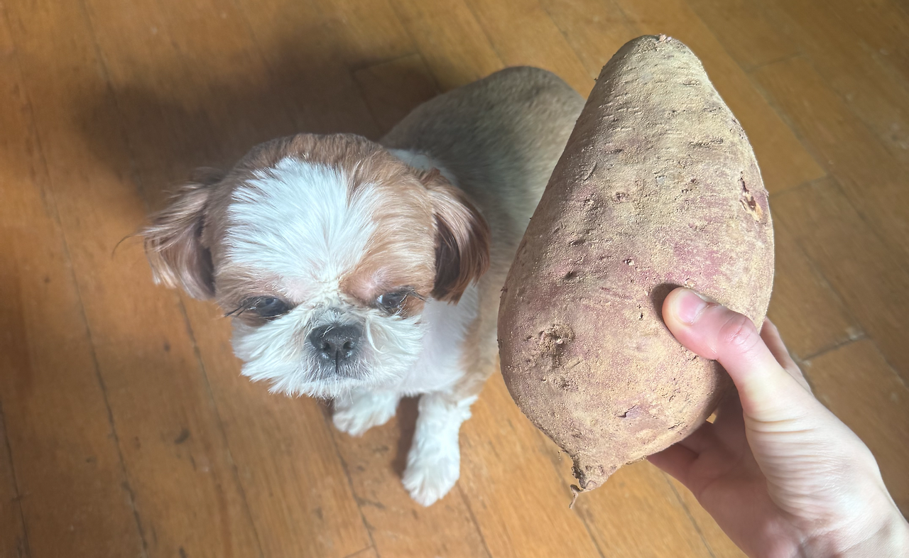 KakaoTalk_Photo_2026-03-10-18-48-52 006 1.png