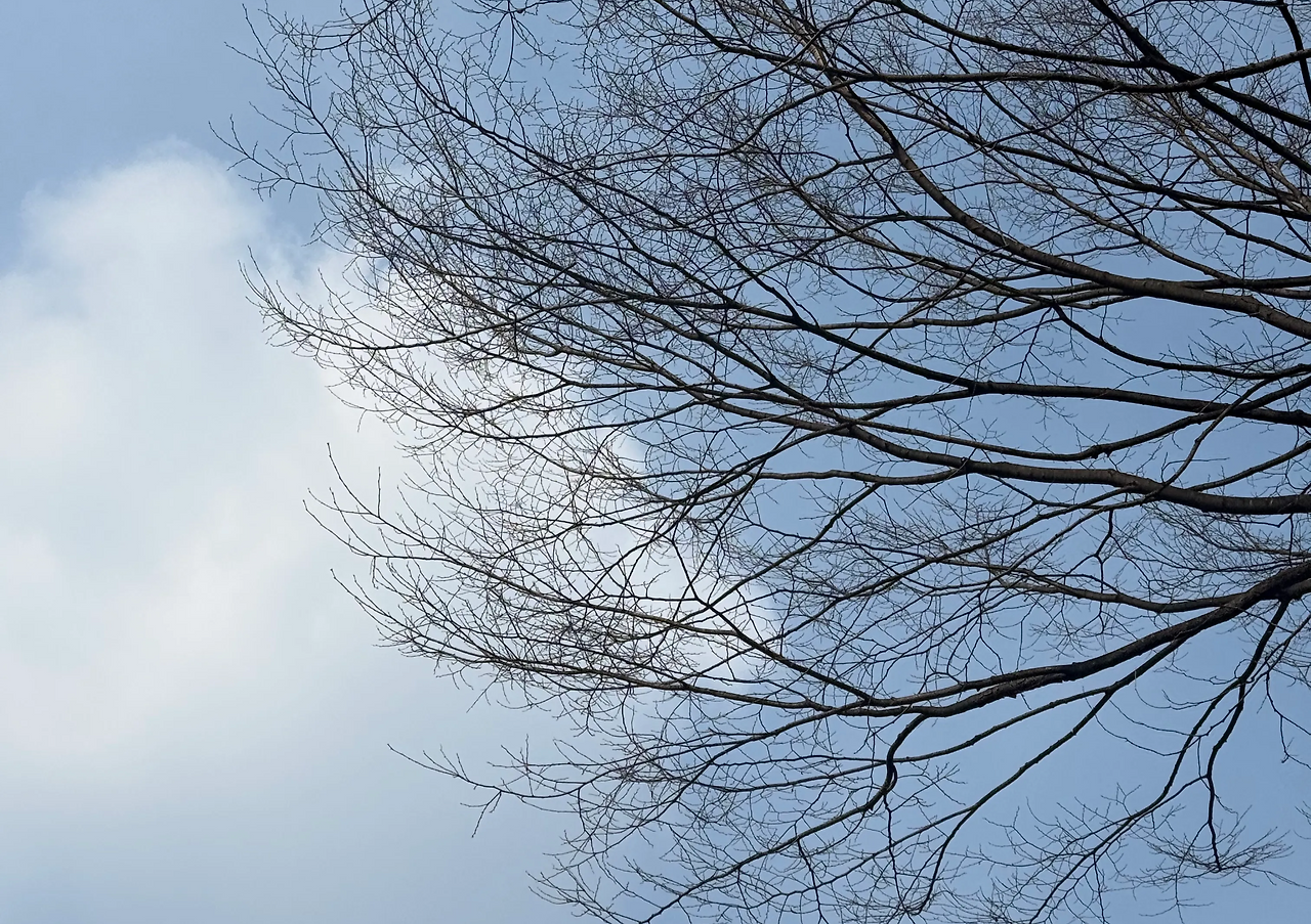 KakaoTalk_Photo_2026-03-10-18-48-51 001.jpeg.png