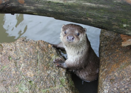 스크린샷 2026-02-02 182404.png