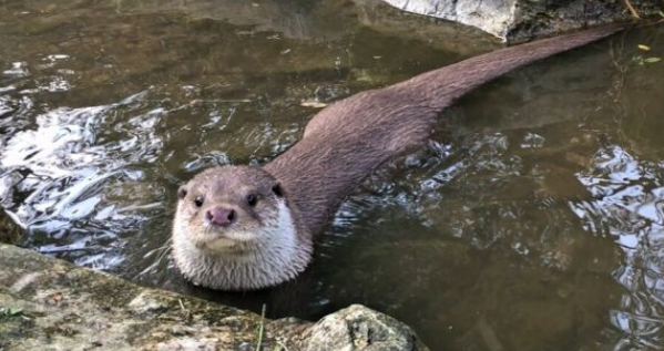 스크린샷 2026-02-02 182335.png