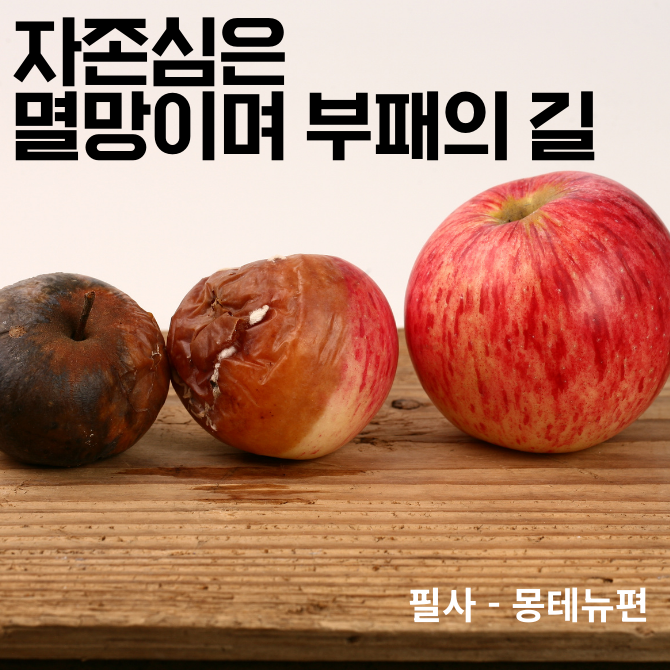 프리미엄 썸네일(작은) - 2026-02-03T184253.134.png