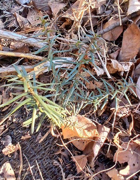 스크린샷 2026-02-19 143046.png