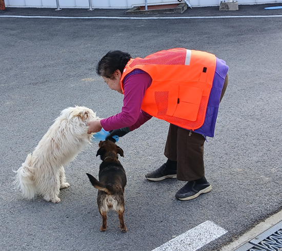 스크린샷 2026-03-23 092610.png