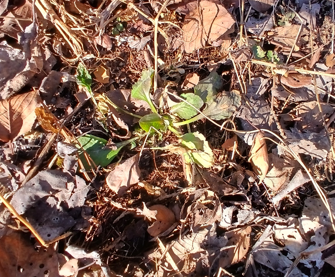 스크린샷 2026-02-19 143058.png