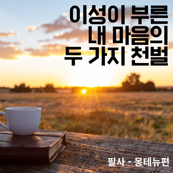 프리미엄 썸네일(작은) - 2026-01-26T111516.949.png