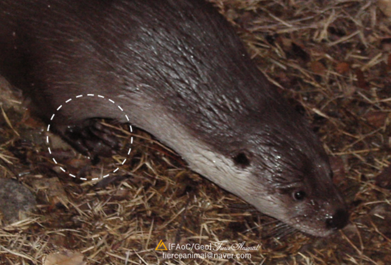 스크린샷 2026-02-01 093840.png