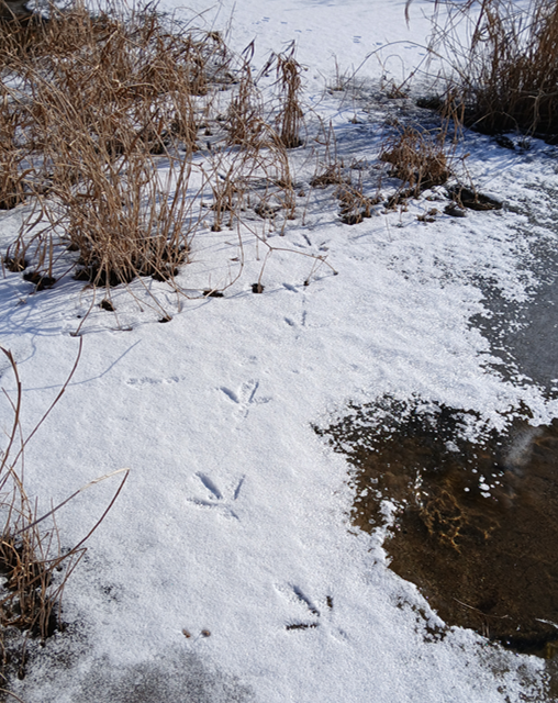 스크린샷 2026-02-06 050041.png