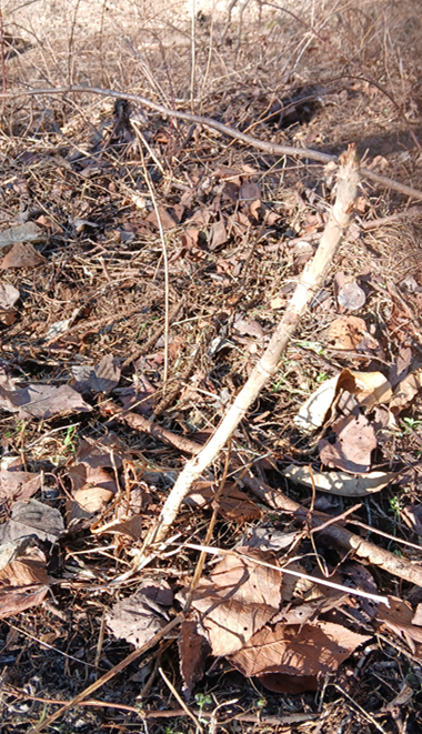 스크린샷 2026-02-19 143940.png