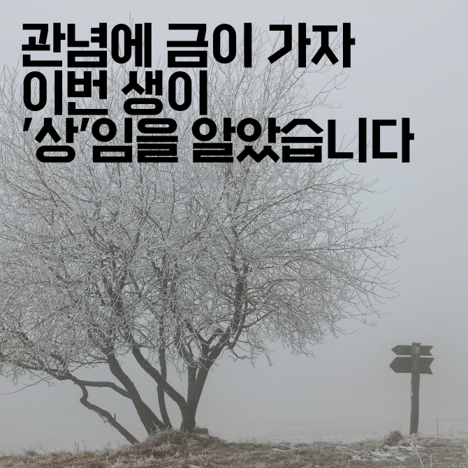 프리미엄 썸네일(작은) - 2026-01-28T123344.212.png
