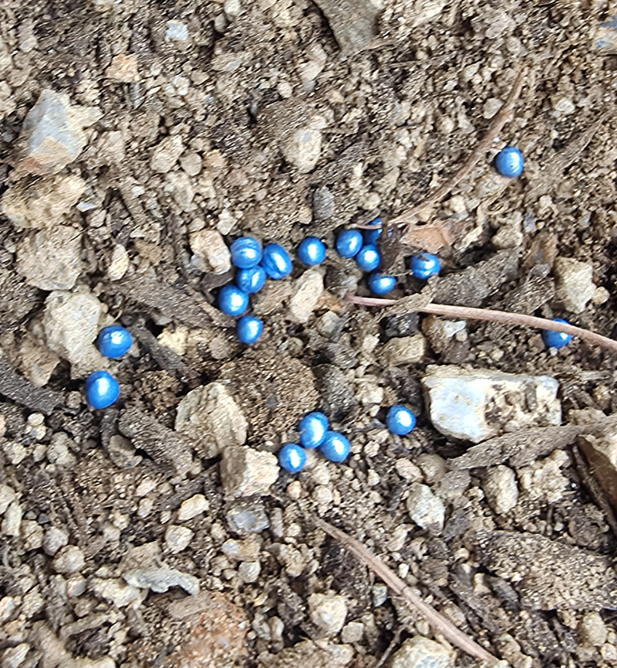 스크린샷 2026-03-30 192052.png