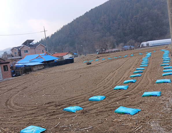 스크린샷 2026-03-19 161827.png