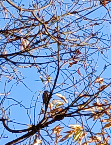 스크린샷 2026-02-12 082432.png