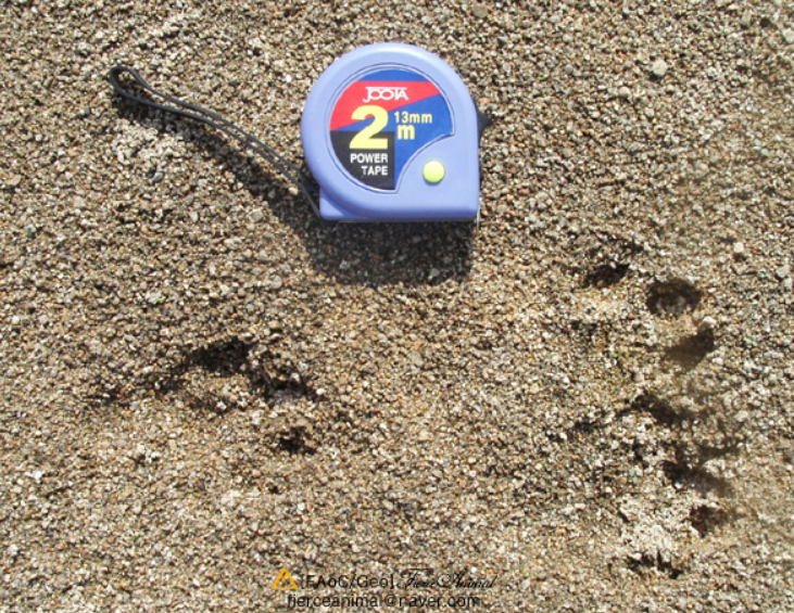 스크린샷 2026-02-01 093855.png