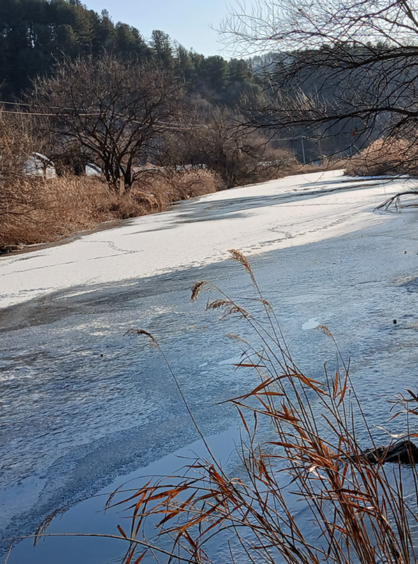 스크린샷 2026-01-29 183819.png