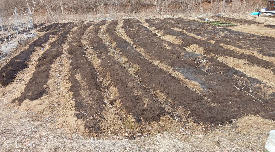 스크린샷 2026-03-19 161807.png