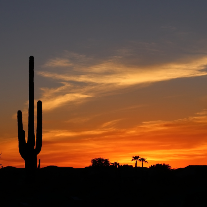 프리미엄 썸네일(작은) (41).png