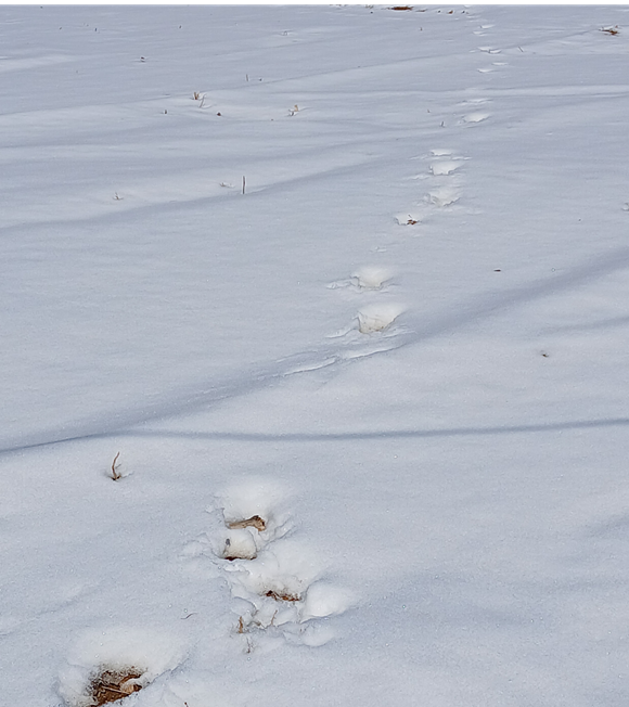 스크린샷 2026-02-12 093407.png