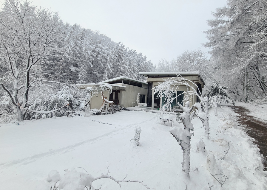 스크린샷 2026-02-12 093354.png