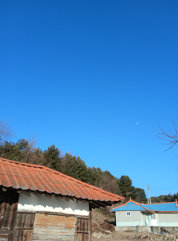 스크린샷 2026-01-29 183924.png