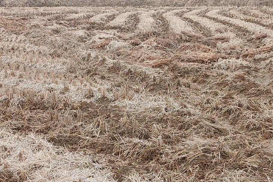 스크린샷 2026-03-19 161836.png