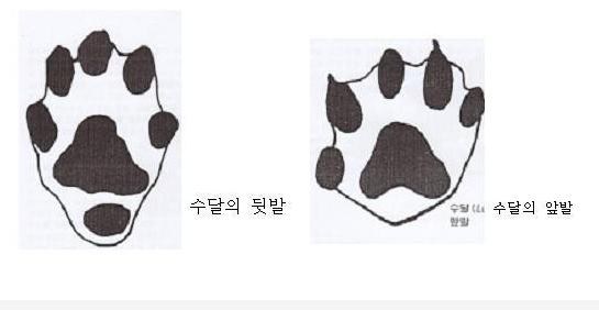 스크린샷 2026-02-01 094157.png