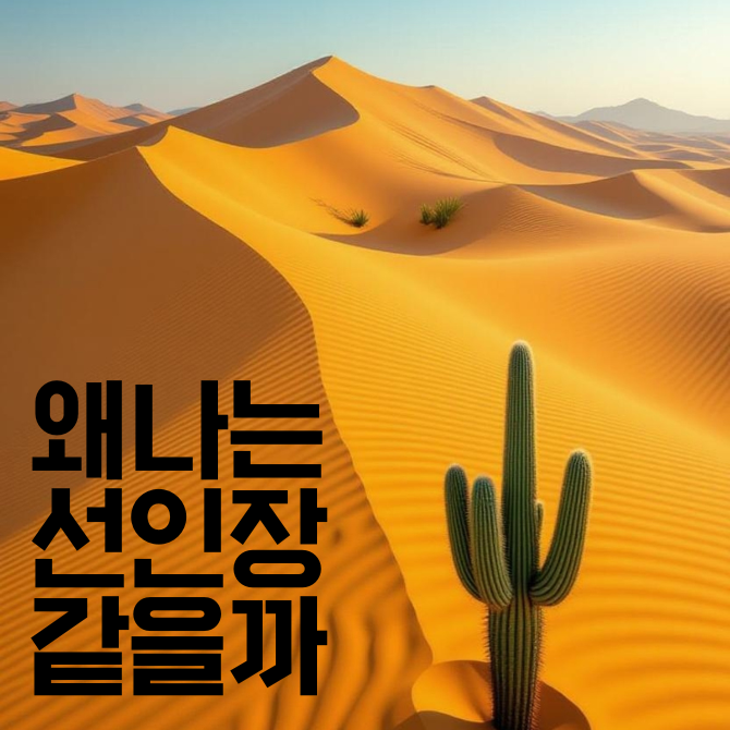 프리미엄 썸네일(작은) (43).png