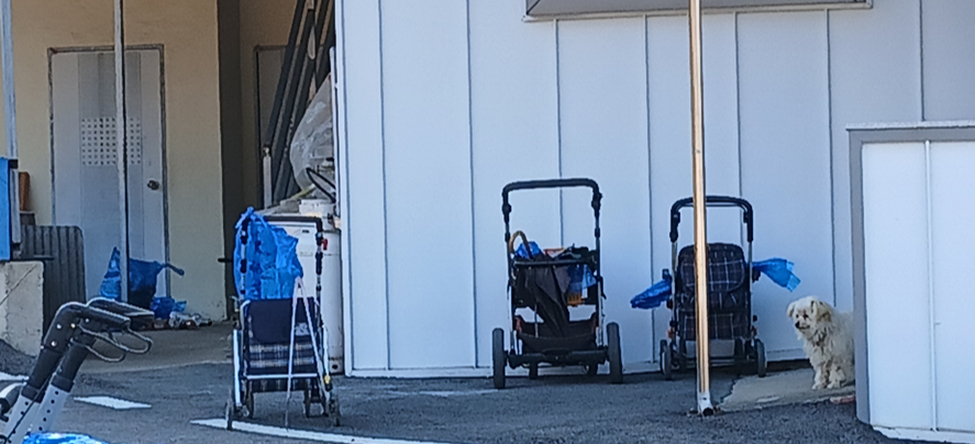 스크린샷 2026-03-23 092538.png