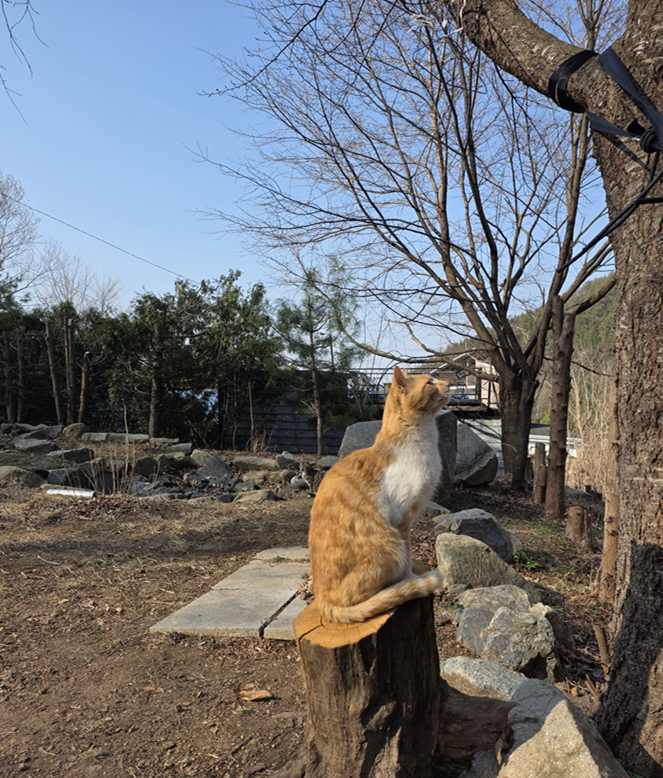 스크린샷 2026-04-19 093132.png