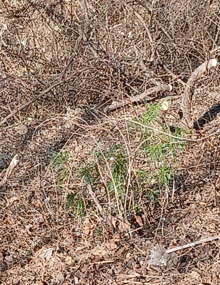 스크린샷 2026-02-19 143108.png