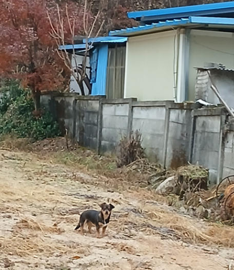 스크린샷 2026-03-11 184210.png