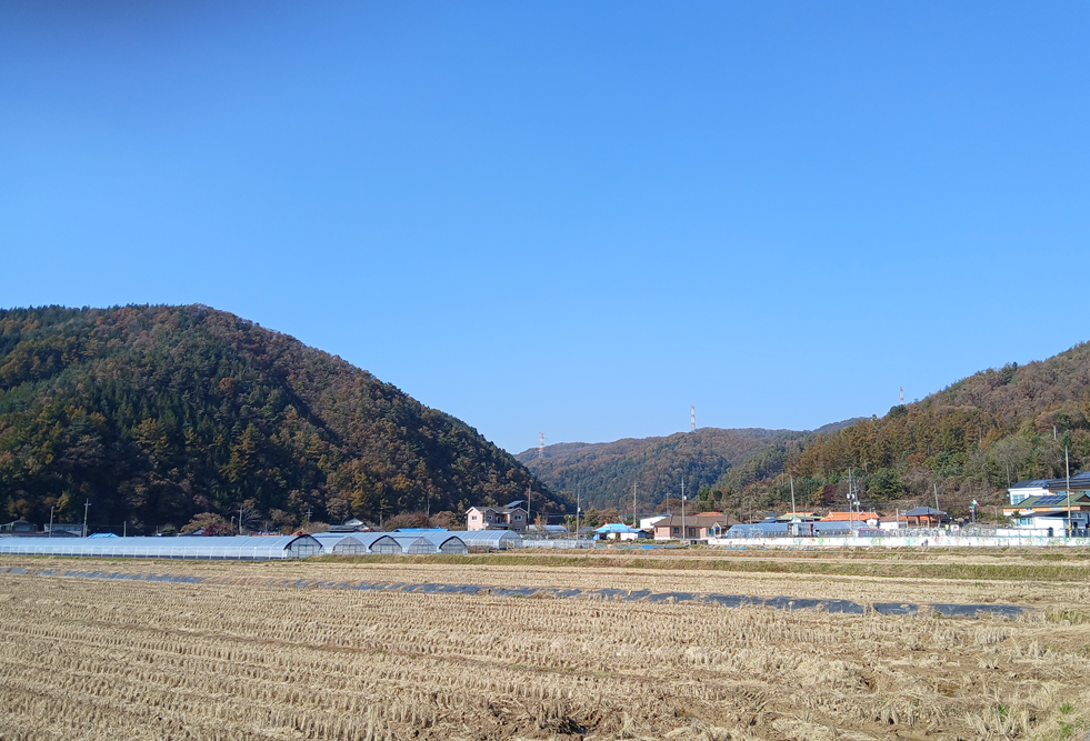 스크린샷 2025-11-06 113435.png