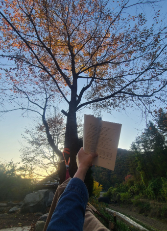 스크린샷 2026-02-12 082439.png