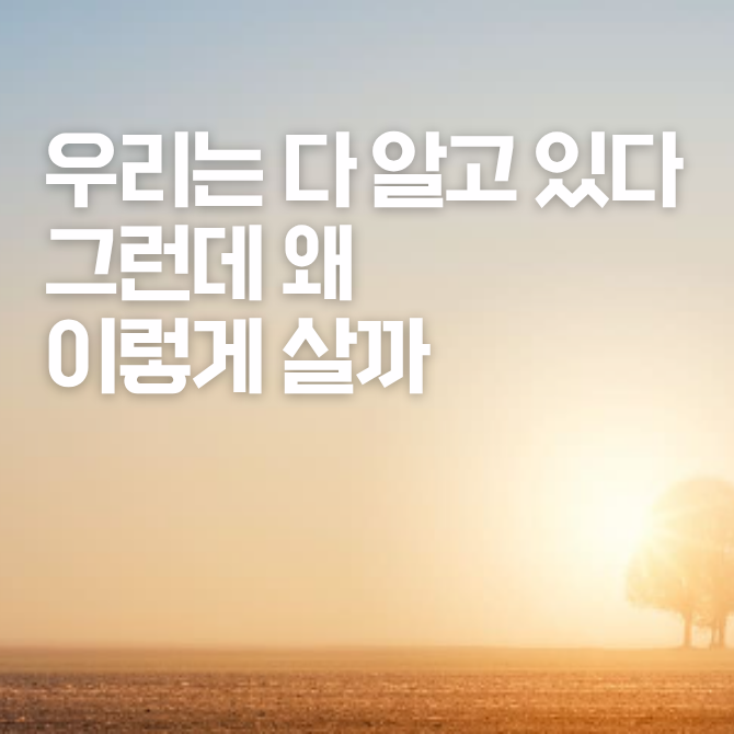 프리미엄 썸네일(작은) (97).png