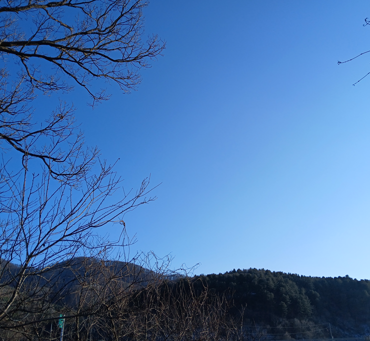 스크린샷 2026-01-29 183904.png